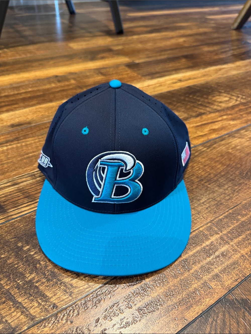 Richardson Cape Cod Baseball League baseball hat size L-XL